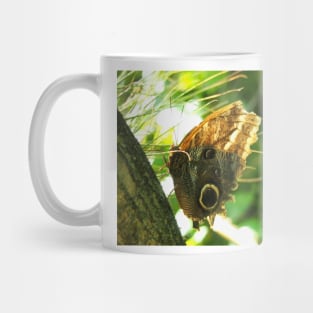 Mournful Owl Butterfly Mug